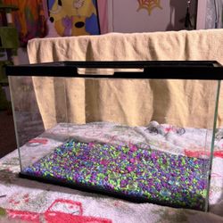 5 Gallon Fish Tank w Accessories 