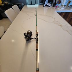 Fishing Reel And Fishing Rod