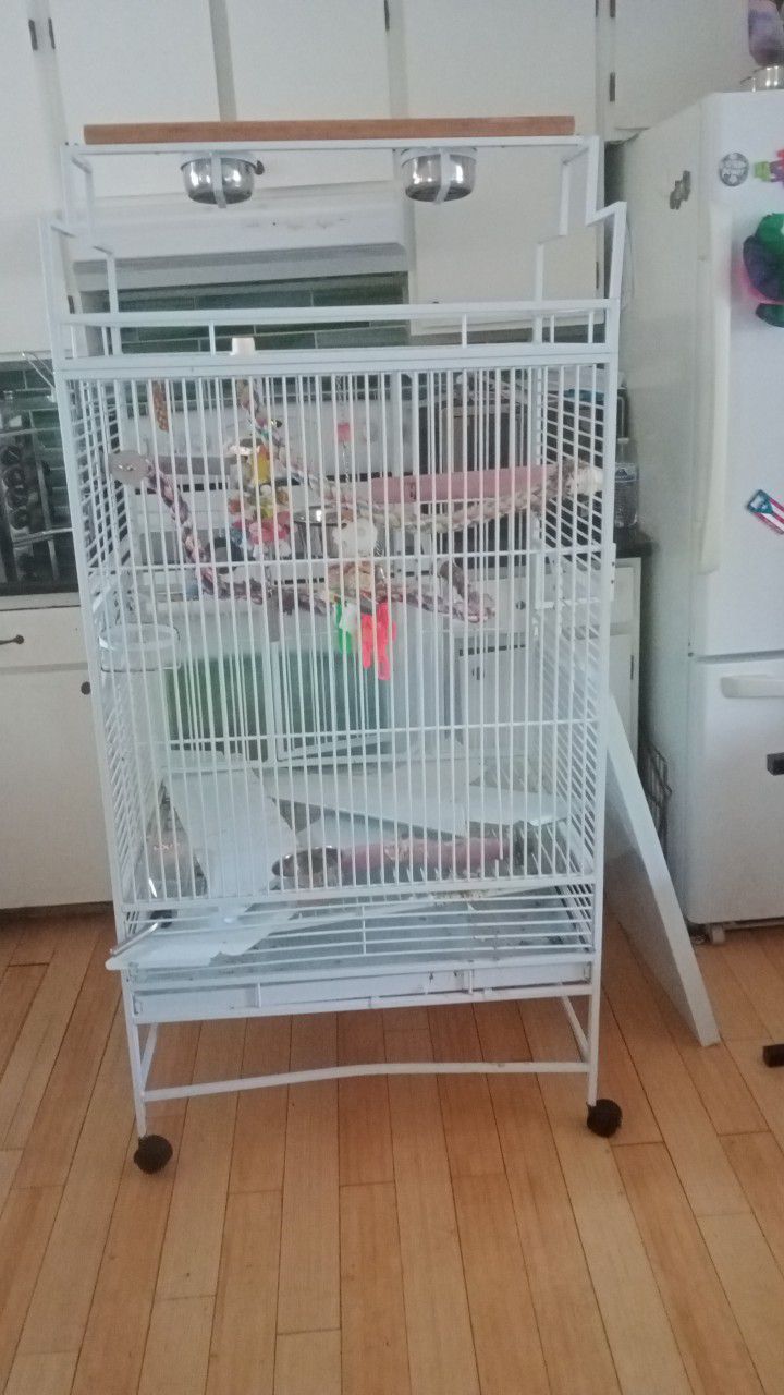 Huge Bird Cage