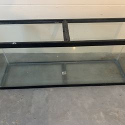Fish Tank