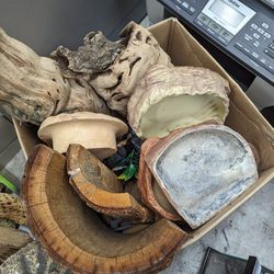 Reptile Decorations And Supplies 