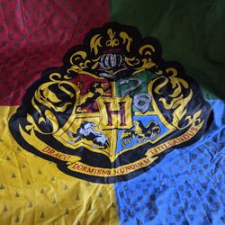 Harry Potter Shower Curtain