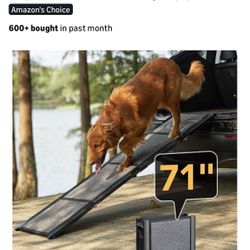 Doggy Ramp