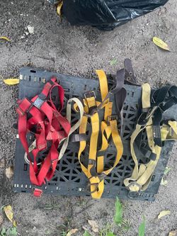 Harnesses, and also the ropes