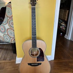 Acoustic Electric Guitar