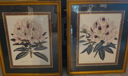 Paintings