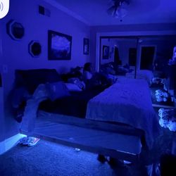 Homemade Floating Bed I Paid A Guy 250 It’s King  Size