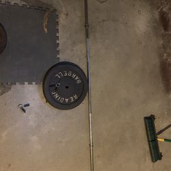 2X 50lbs Plates 2X25lbs Plates 1 6ft bar with clips