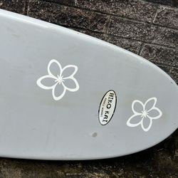 Surf Board 9’6
