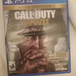 Call Of Duty Ww11 Gold Edition 