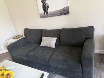 Gray Living Room sofa