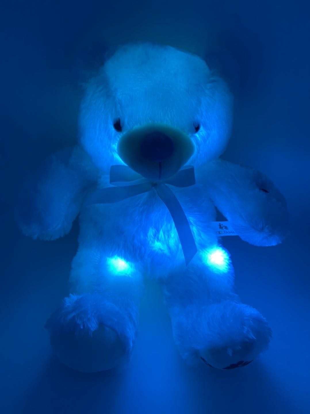 LED XZ Bear