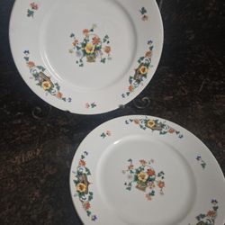 Vintage Bavaria Floral Plates Set of 2