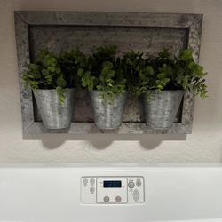 Wall Plant Decor