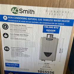 AO Smith Tankless Gas Water Heater 