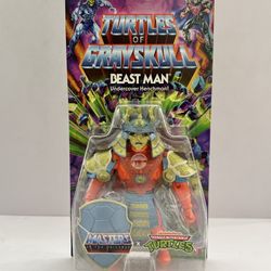 MOTU Origins Turtles Of Grayskull Beast Man