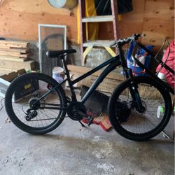 Schwinn Sidewinder Bike