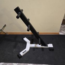 Nautilus Olympic Weight Plate Tree--