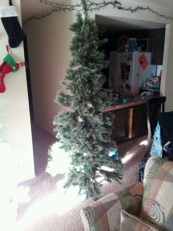 7ft nonlit branford spruce cashmere tree household in eastlake oh 7ft nonlit branford spruce cashmere tree household in eastlake oh offerup