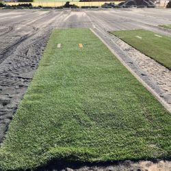 ONLY $140 PER ROLL / USED ARTIFICIAL GRASS / SYNTHETIC GRASS
