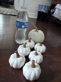 White Misc plastic pumpkins