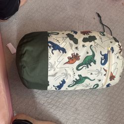Dino Sleeping Bag And Tent Combo