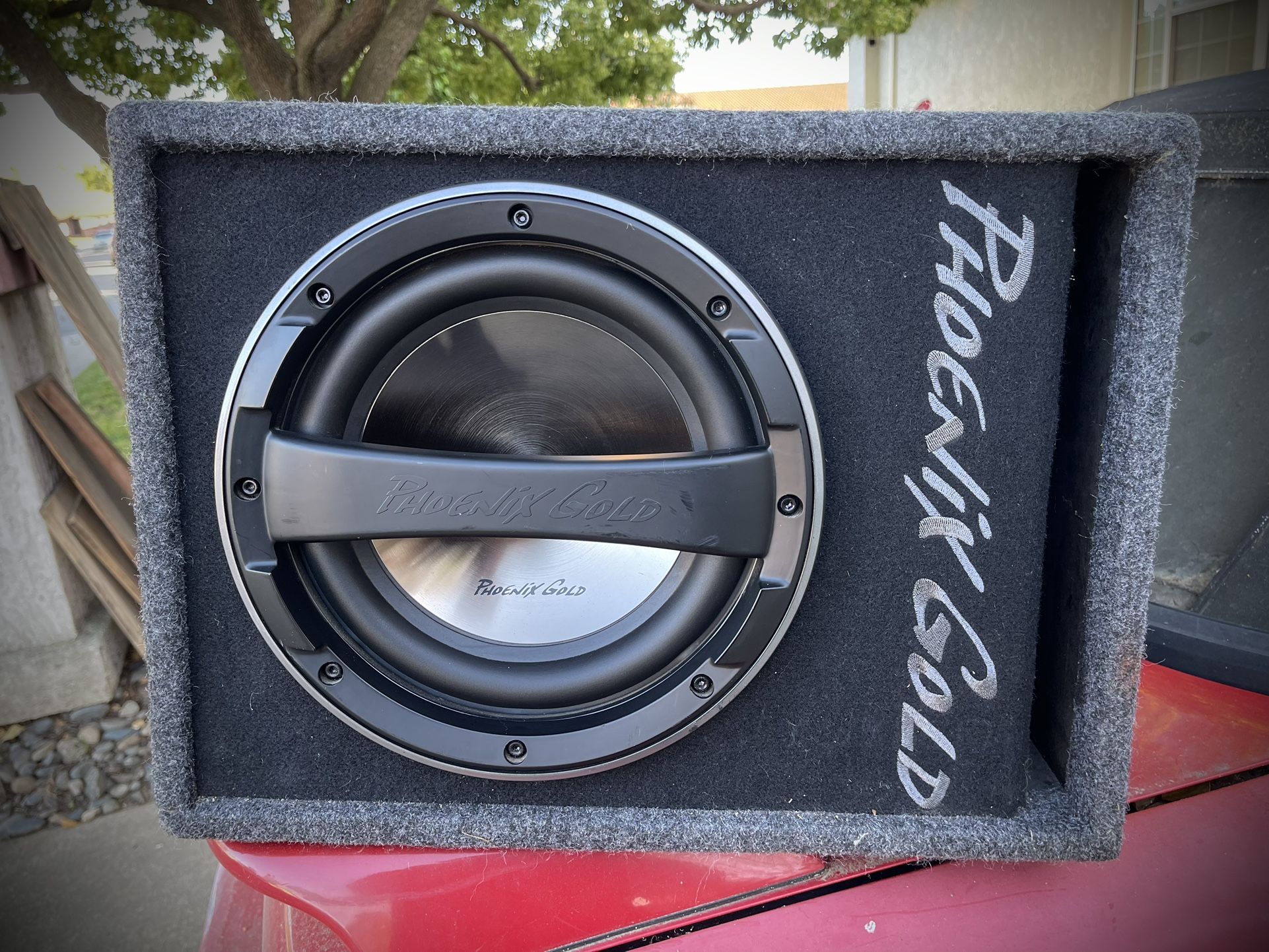 Phoenix Gold 10” Sub With Built In Amplifier