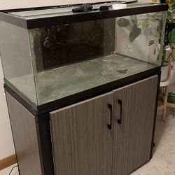 40 gallon saltwater Fish Tank With Stand, Pump And Heater-  Set Up And Ready 