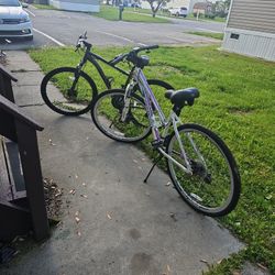 pair of schwinn bikes (read discription)