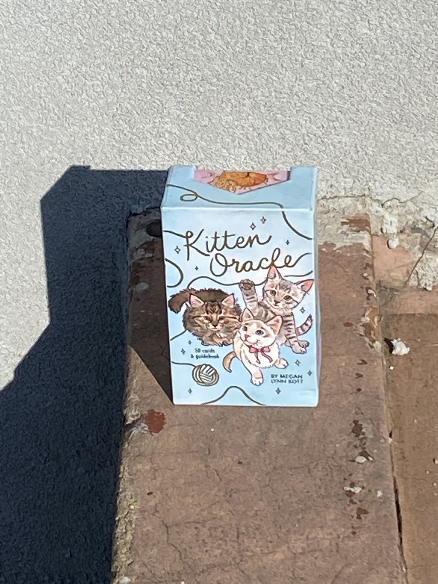 Kitten Guidebook 