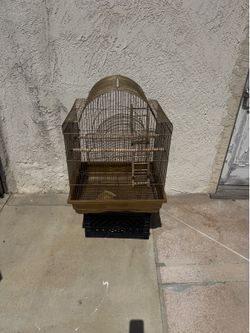 Gold Bird Cage - jaula de oro