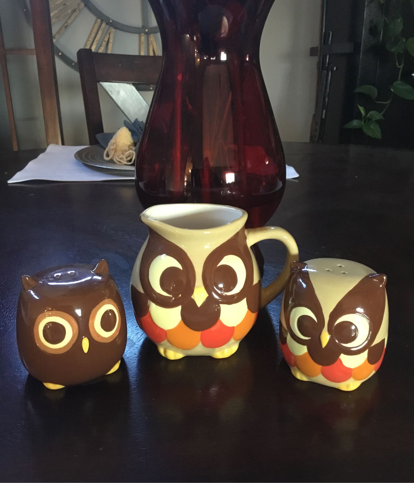 Owl Salt and Pepper Shaker with Pitcher Retro Mod kitchen decor