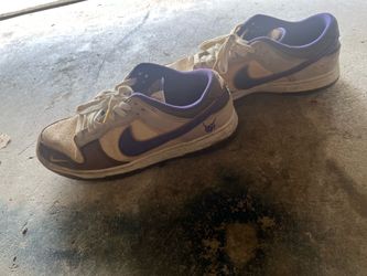 Mens Nike dunks