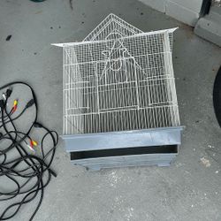 Bird Cage 