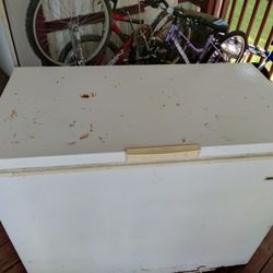 Grill & Freezer