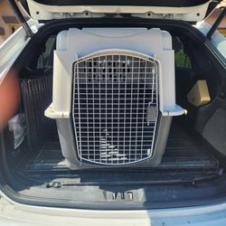 Large Transport Dog Crate