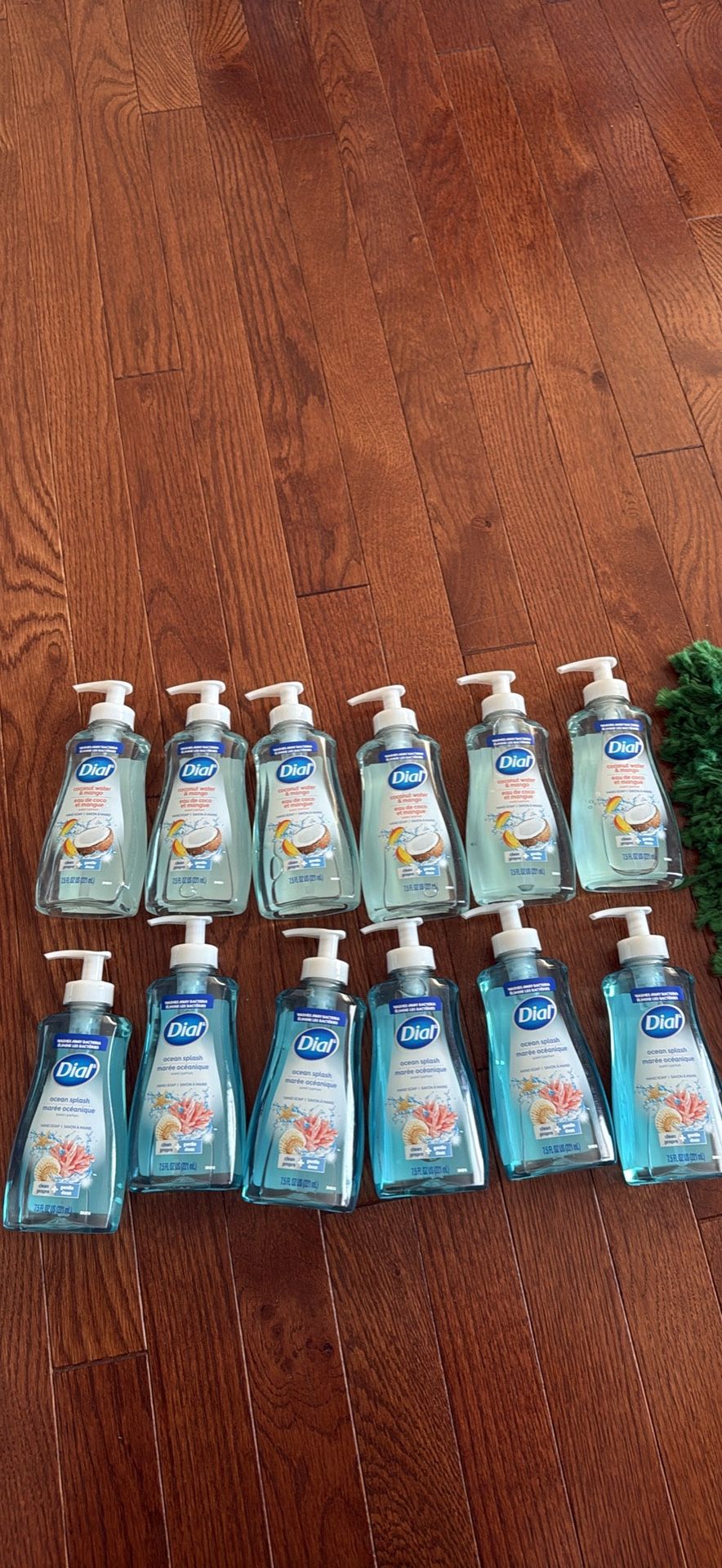 Dial hand soap 12 for $10