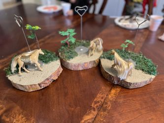 Centerpieces And Cowboy Drink Cooler
