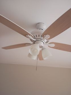 Fan n light chandelier