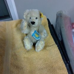 Teddy Bear Steif Collectors Edition New