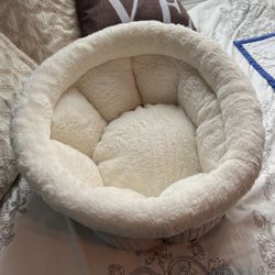Dog Bed 