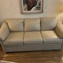 Leather Sleeper Sofa