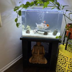30 Gallon Glass Fish Tank