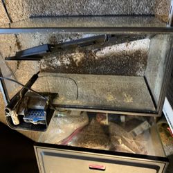 Two 10 Gallon Tanks 
