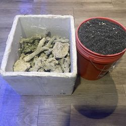 Live Rock And 5 Gallon Of Sand
