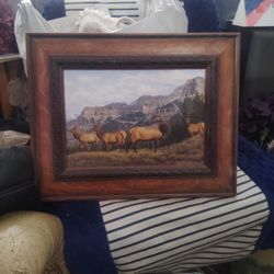  Beautiful Mountain Magic Canvas