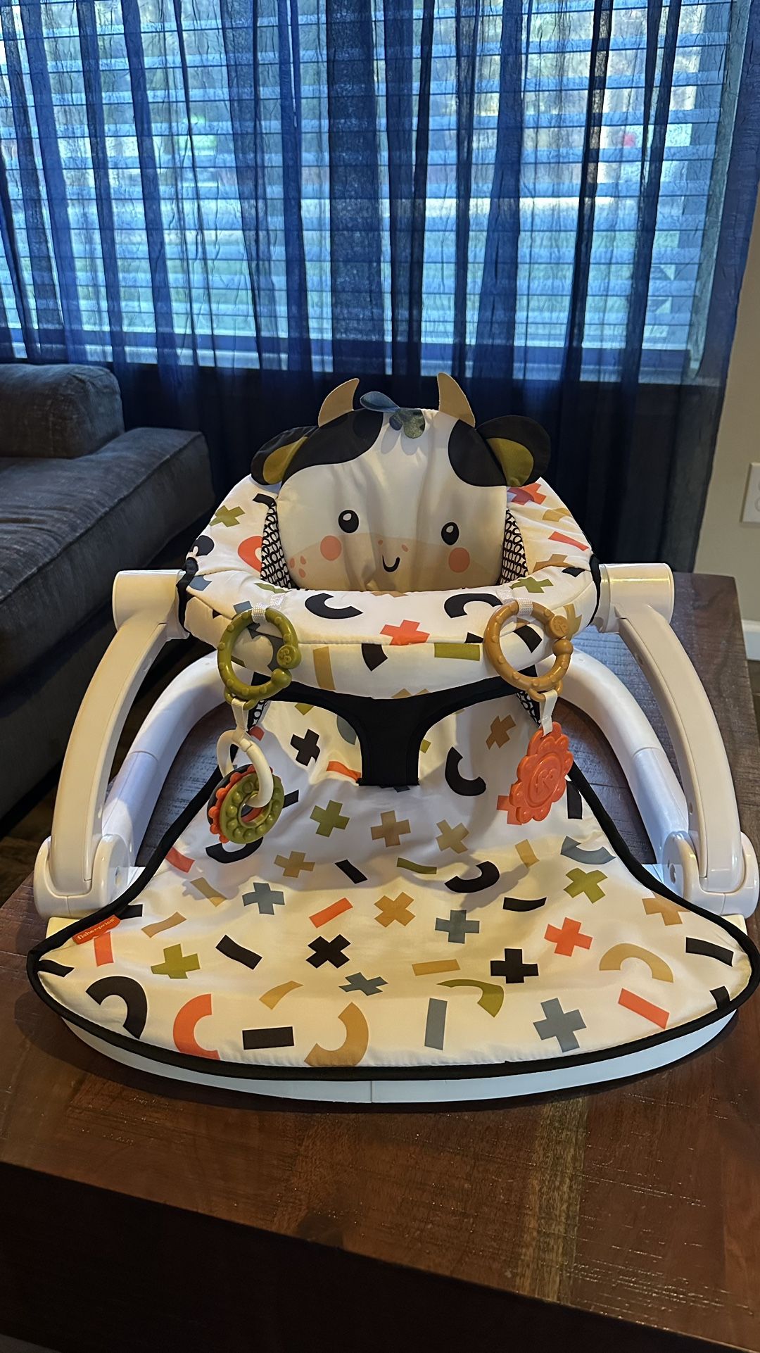 Fisher-Price Portable Baby Chair