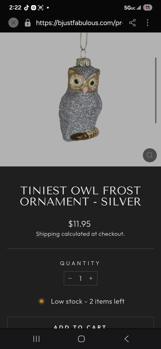 Ornament /esfera/ Navidad / Christmas /owl / Buo