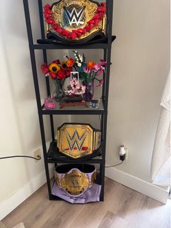 Wwe belts with wm side plates