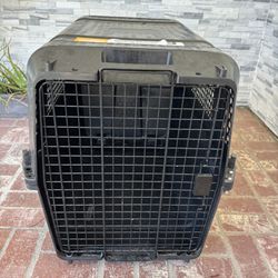 Black Dog Crate